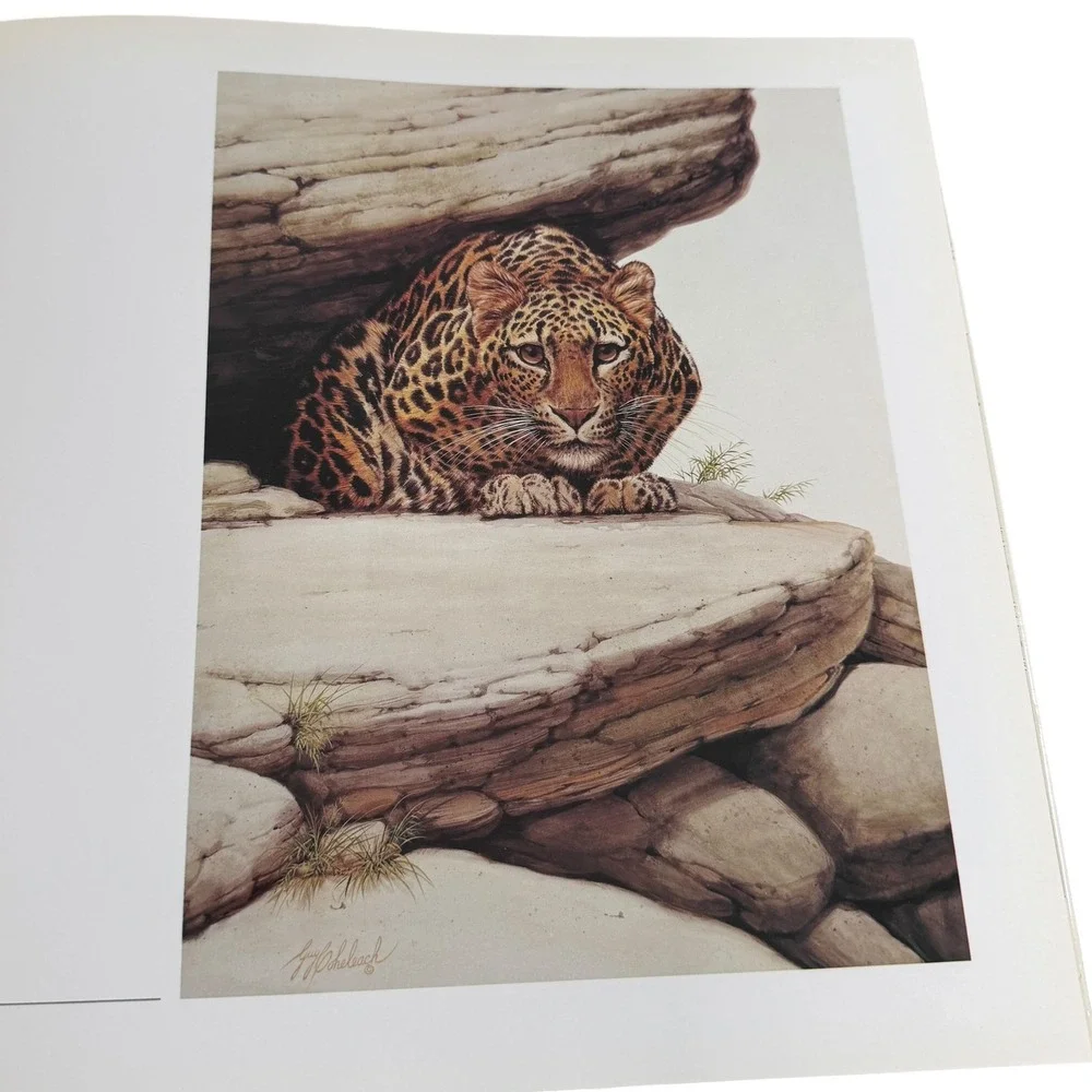 VTG The Big Cats The Paintings of Guy Coheleach Nancy Neff 1982‎ Hardcover Book